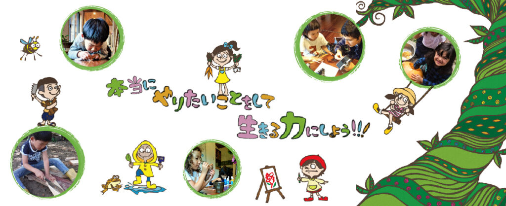 インターナショナル　デモクラティックスクール　まめの木