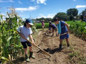コドモ農業大学