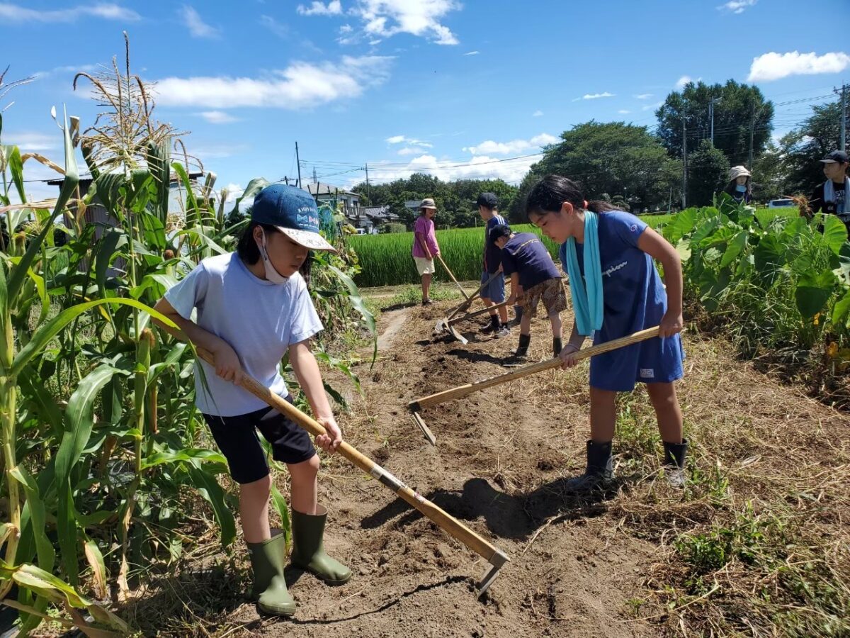 コドモ農業大学