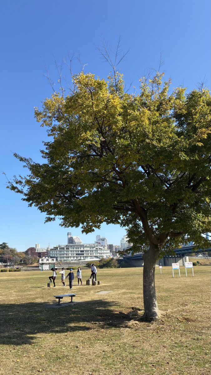 line_oa_chat_251209_175229