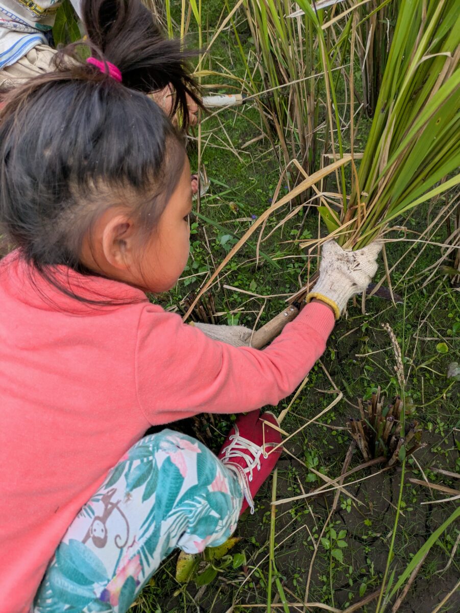 PXL_20251012_011923742