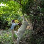 はだの自然スクール