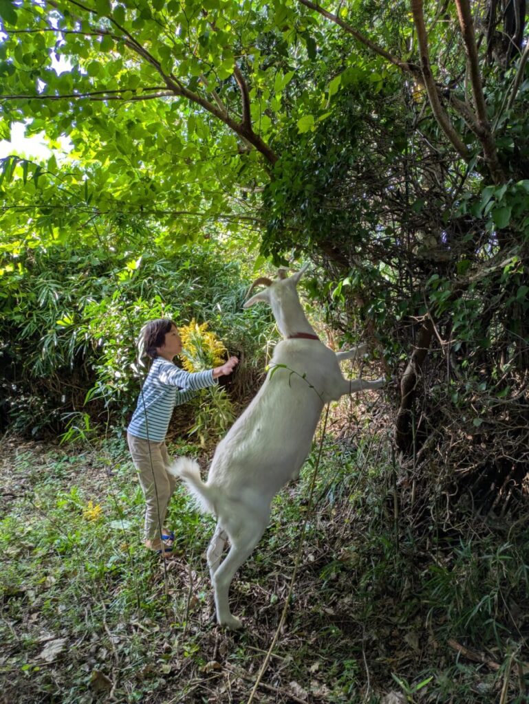 はだの自然スクール