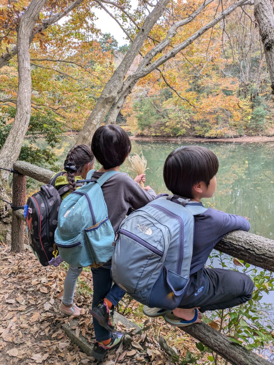 PXL_20251127_025647170