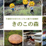 きのこの森